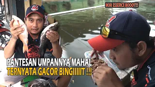 UMPAN LANGKA BOOY❗❗SETREK HITUNGAN DETIK ❗❗ TAPI GAGAL USMAN 🤣🤣🤣