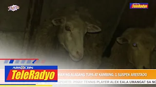 Ginang sa Payatas, QC ninakawan ng alagang tupa at kambing, 1 suspek arestado | SAKTO (4 Nov 2022)