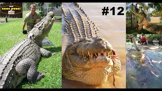 OZZY CROCODILE MAN - CROCODILE Attack COMPILATION # 12