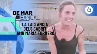 La lactància dels cabrit amb María Tornero, ramadera d’Elda - De mar i bancal