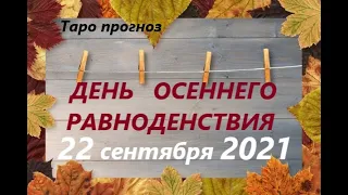 ДЕНЬ ОСЕННЕГО РАВНОДЕНСТВИЯ 🍂Прогноз с 22.09 - 01.11 🍁МАБОН🍁время сохранения энергий/ Таро прогноз/