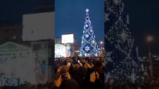 Открытие Новогодней ёлки в Донецке