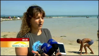 Surfing changing the lives of vulnerable S African youth
