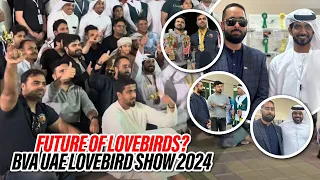 Future Of Lovebirds ?? BVA UAE LOVEBIRD SHOW 2024