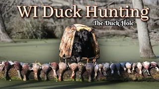 Duck Hunting Wisconsin: The Duck Hole