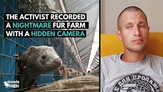 I worked on a mink farm | Open Cages Investigation