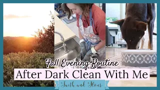 Fall Evening Routine | After Dark Clean With Me 2020 | Speed Cleaning Motivation