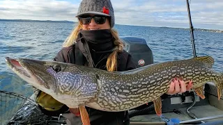 Fall Northern Pike Fishing With Livebait - How To