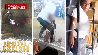 Lalaki, nag-agaw buhay matapos atakihin ng sarili niyang manok na panabong | Kapuso Mo, Jessica Soho