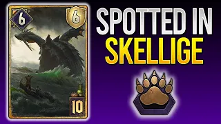 Gwent | THIS SKELLIGE URSINE RITUAL DECK IS RIDICULOUS