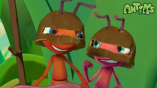 Petrol Heads | Antiks | Crazy Ants Cartoon! | Kids Videos