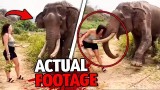 These 3 Elephant Attacks are The Most SAVAGE of All Time!