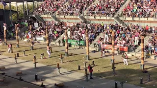 325mm World Championship Tree Felling Final Sydney 2019