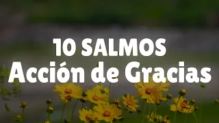 Los salmos más hermosos de ACCIÓN DE GRACIAS  - 10 Salmos para agradecer a Dios