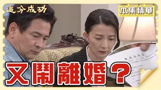 【追分成功】EP113 志強要跟彩鳳離婚？大家怎麼都那麼愛離婚？│ 台視最新八點檔 │ Define Your Own Success