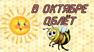 Поздний облет пчел в октябре. Аномально теплая осень. Семья слабая