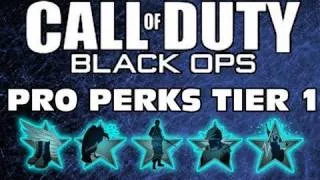 Call of Duty: Black Ops Pro Perks In Depth Analysis Tier 1, Blue Perks
