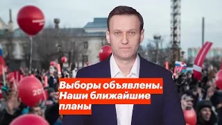 Выборы объявлены. Наши ближайшие планы