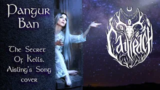 Cailleach - Pangur Bán (The Secret Of Kells: Aisling's Song cover)