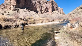 The BEST Spring Creek fishing I have ever experienced!