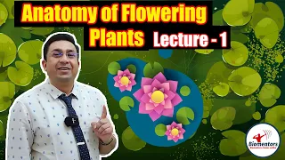 Anatomy of Flowering Plants l Lecture 1 l Biology l NEET