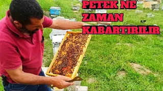 Mayıs ayı Arı kontrolü ve petek kabartma yöntemi ne fayda