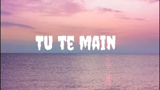 Tu Te Main | Bir Singh [ slowed + reverb ]