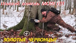 НАШЕЛ ТУГОЙ КОШЕЛЬ с ЗОЛОТОМ и СЕРЕБРОМ в КОРНЯХ СТАРОГО ГРАБА!