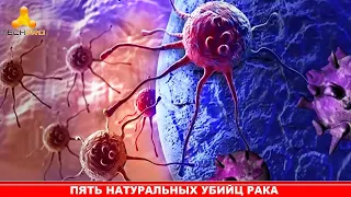 Учёные: чтобы рак и метастазы засохли, больше не появлялись – добавь эти 5 продуктов в рацион