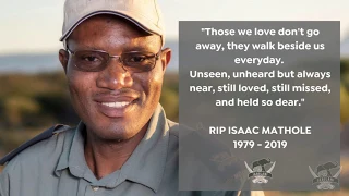 RIP Isaac Mathole - Jabulani Elephant Manager