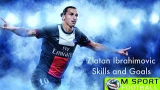 Zlatan Ibrahimovic | Amazing Skills Show 2015 HD