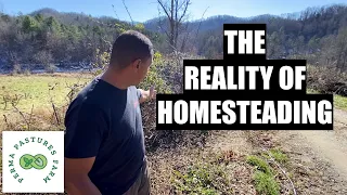 The Realities Of Building A Homestead