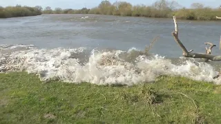 Severn Bore reaches Lower Parting (Alney Island) 23 March 2023