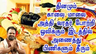 அத்தி வரதர் போற்றி | அத்தி வரதர் பாமாலை | வரதராஜ பெருமாள் | Athi Varadar Pottri