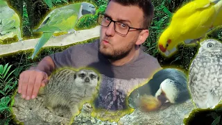 NAJWIĘKSZY SKLEP ZOOLOGICZNY NA ŚWIECIE ➡️ CZĘŚĆ 1