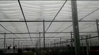 Coated retractable flat roof with 1 8m or 6ft tape centers