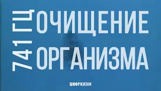 741 гц - Очищение организма | программирование во сне