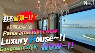 방탄소년단 뷔APELBAUM Panorama Riverview  luxury house~!! bts  Gangnam Style WOW~!!