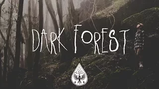 Dark Forest 🦇 - An Indie/Folk/Alternative Playlist (Halloween 2017)