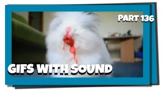 Gifs With Sound Mix - Part 136