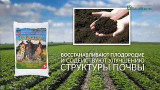 33 Богатыря - применение почвооздоравливающего биопрепарата