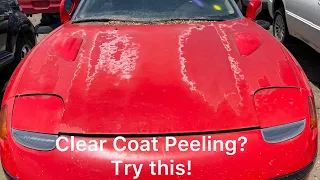 IF YOUR CLEAR COAT IS PEELING DO THIS Until You Get It Repainted