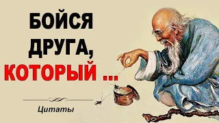 ОЧЕНЬ МУДРО СКАЗАНО! ЦИТАТЫ (Мудрость веков)