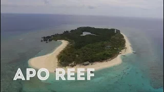 Apo Reef Travel Guide (Commuters Guide)