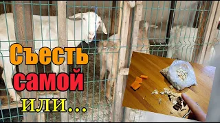 Полностью 33 - минутный ролик можно посмотреть на boosty