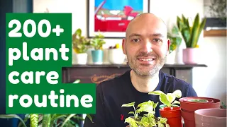 Saturday Morning Plant Chores | Repotting, Pruning, Watering