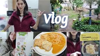 (Vlog) Se ha roto la barbacoa 😱 Compra carrefour y lidl