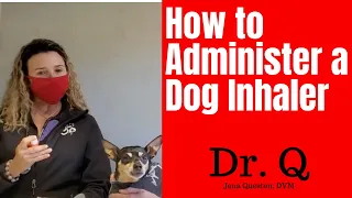 How to Administer a Dog Inhaler