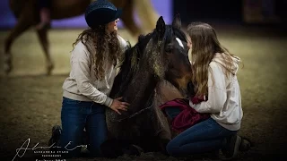 Equitana 2017 mit NativeHorse - Ein krasser Tag! 🐴