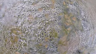 Чудо пузыри горячих ванн